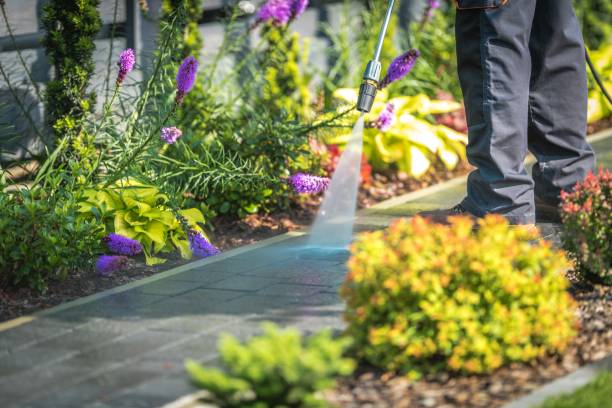 Best Post-Construction Pressure Washing  in Clark Mills, NY