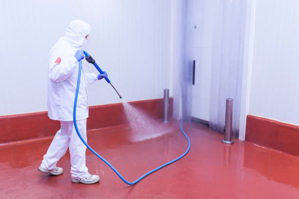 Boat and Dock Cleaning in Clark Mills, NY